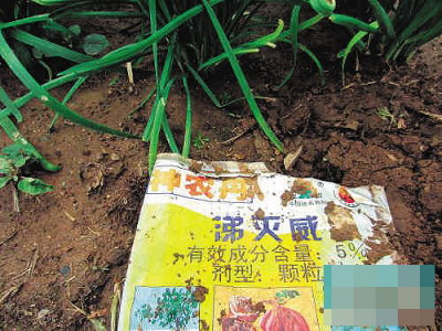 BJL平台集团_乱港分子这一天相对平静 他们在等待什么(图2) BJL平台集团