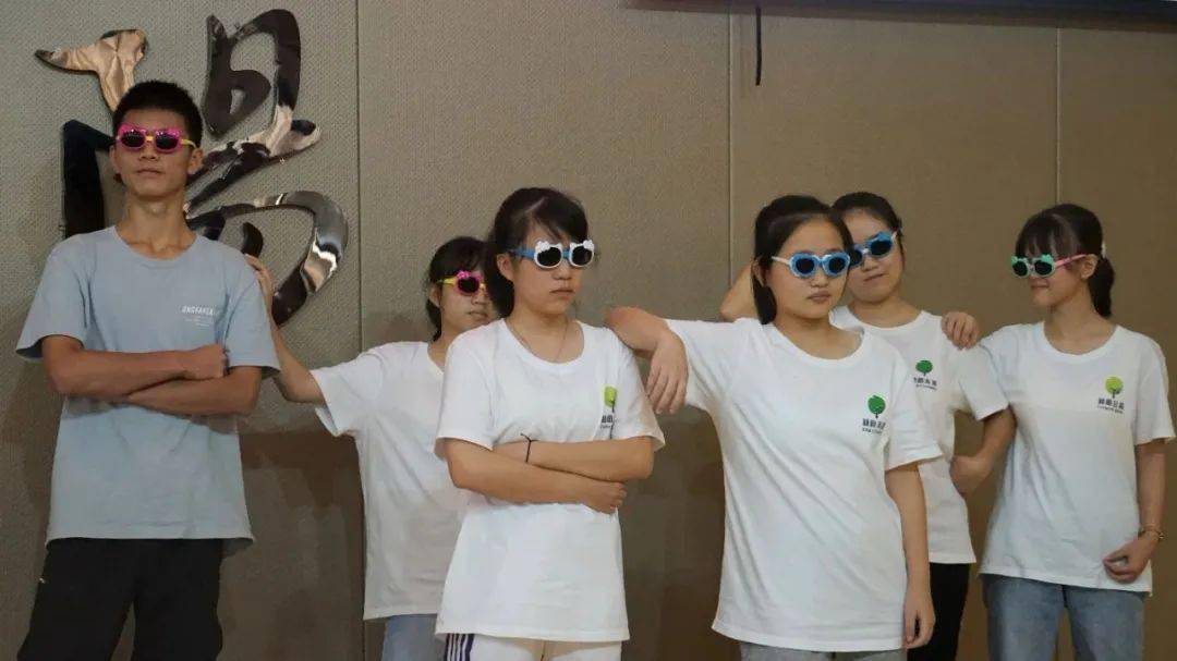 
第五届“林荫未来”青年成才公益训练营在蔺阳中学圆满结营‘BJL平台集团’(图8)