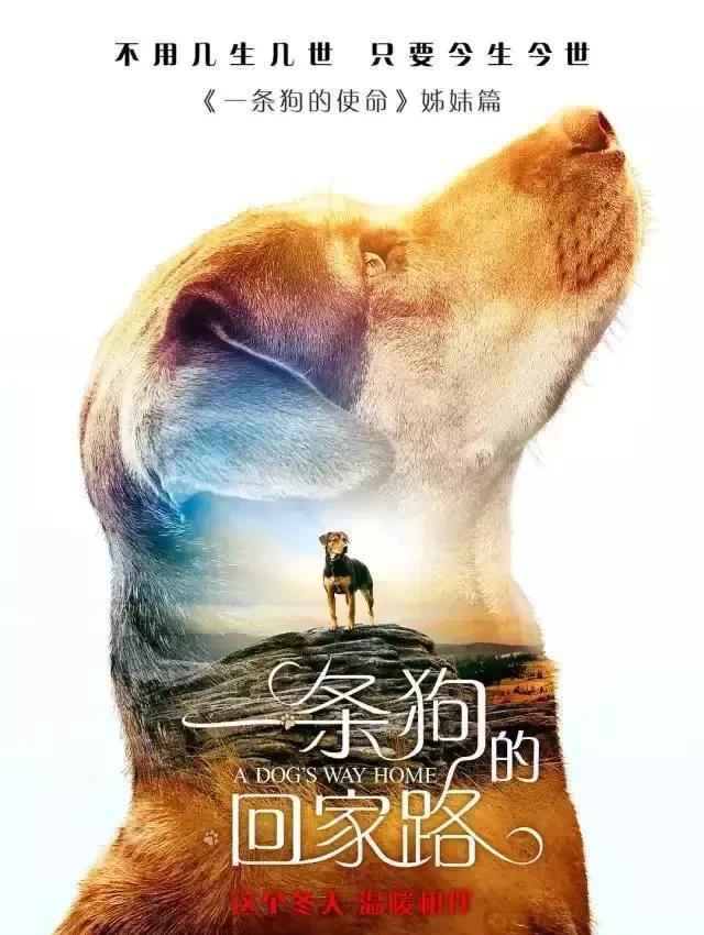 印度居民楼垮塌事故已致17人死亡-BJL平台(图1) BJL平台集团