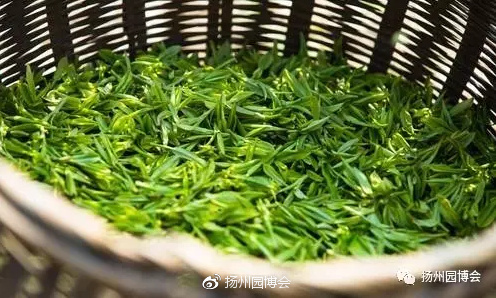 打造一个HomeKit之家要多少钱?先准备8000美元吧‘BJL平台集团’(图2) BJL平台