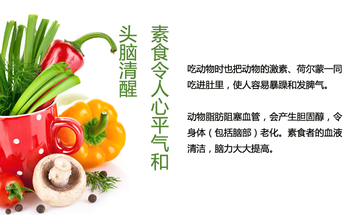 BJL平台集团